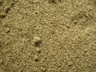 Playa Roig, San Pedo del Pinatar